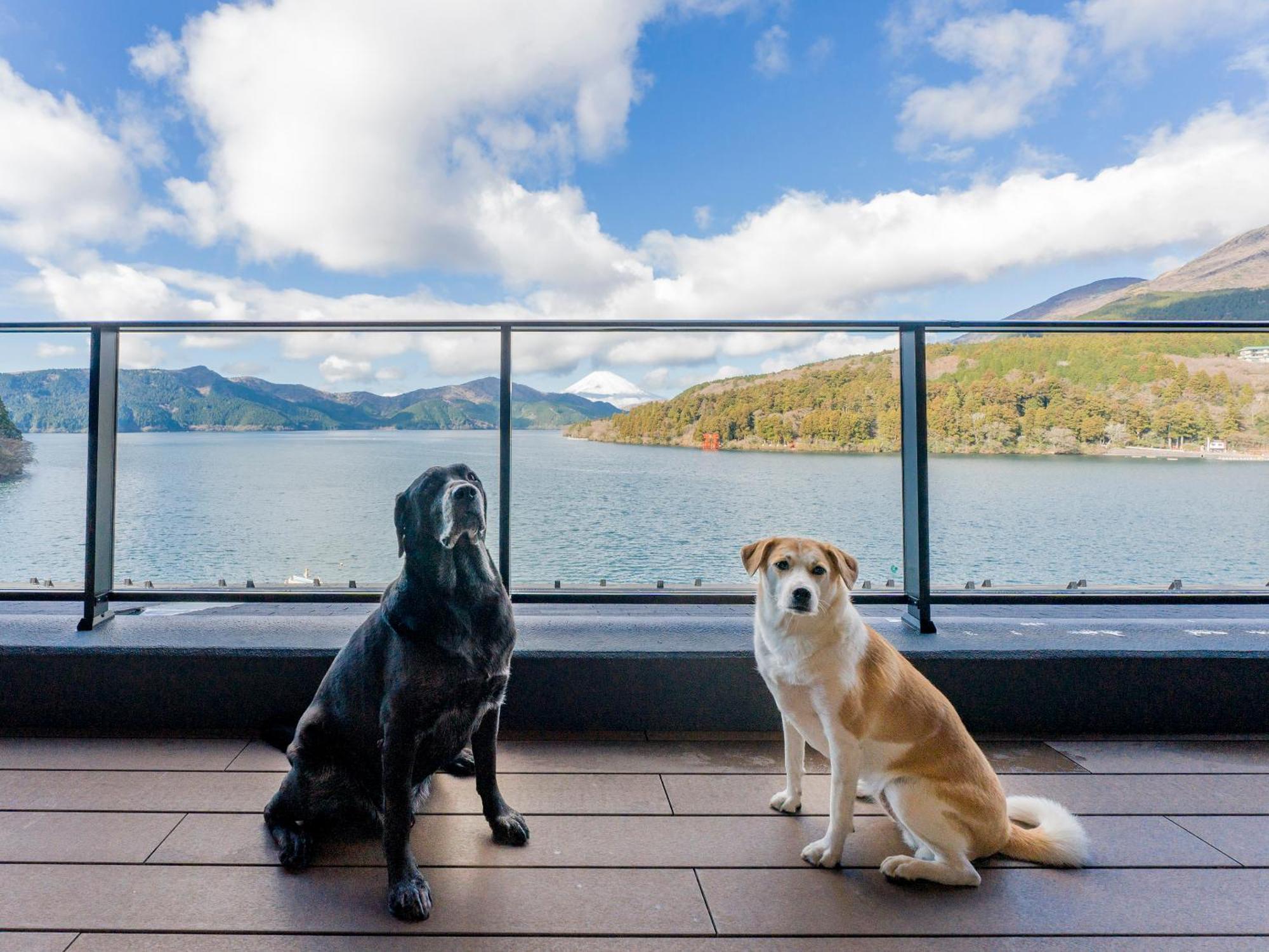 Rakuten Stay Fujimi Terrace Hakone Ashinoko ภายนอก รูปภาพ